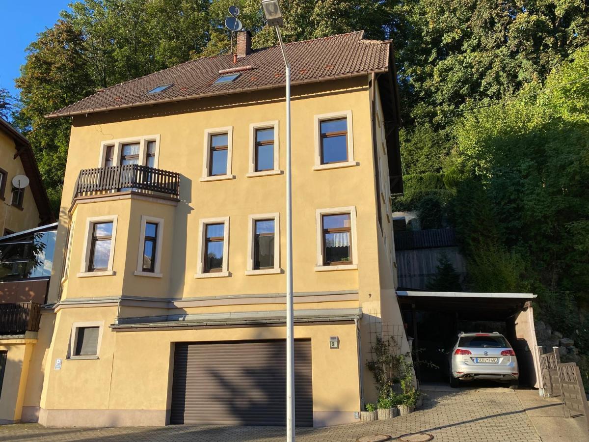 Waldblickwohnung Mit Schoener Terrasse Und Kamin Sebnitz Extérieur photo