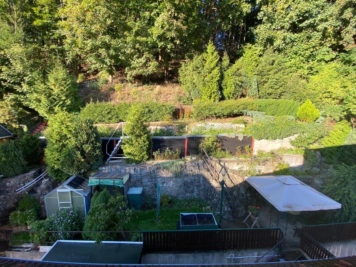 Waldblickwohnung Mit Schoener Terrasse Und Kamin Sebnitz Extérieur photo