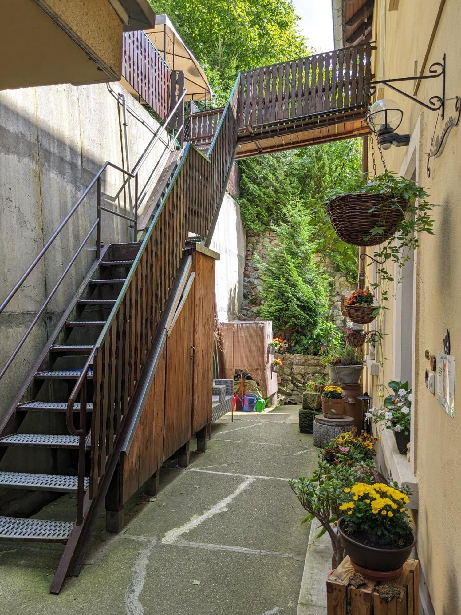 Waldblickwohnung Mit Schoener Terrasse Und Kamin Sebnitz Extérieur photo