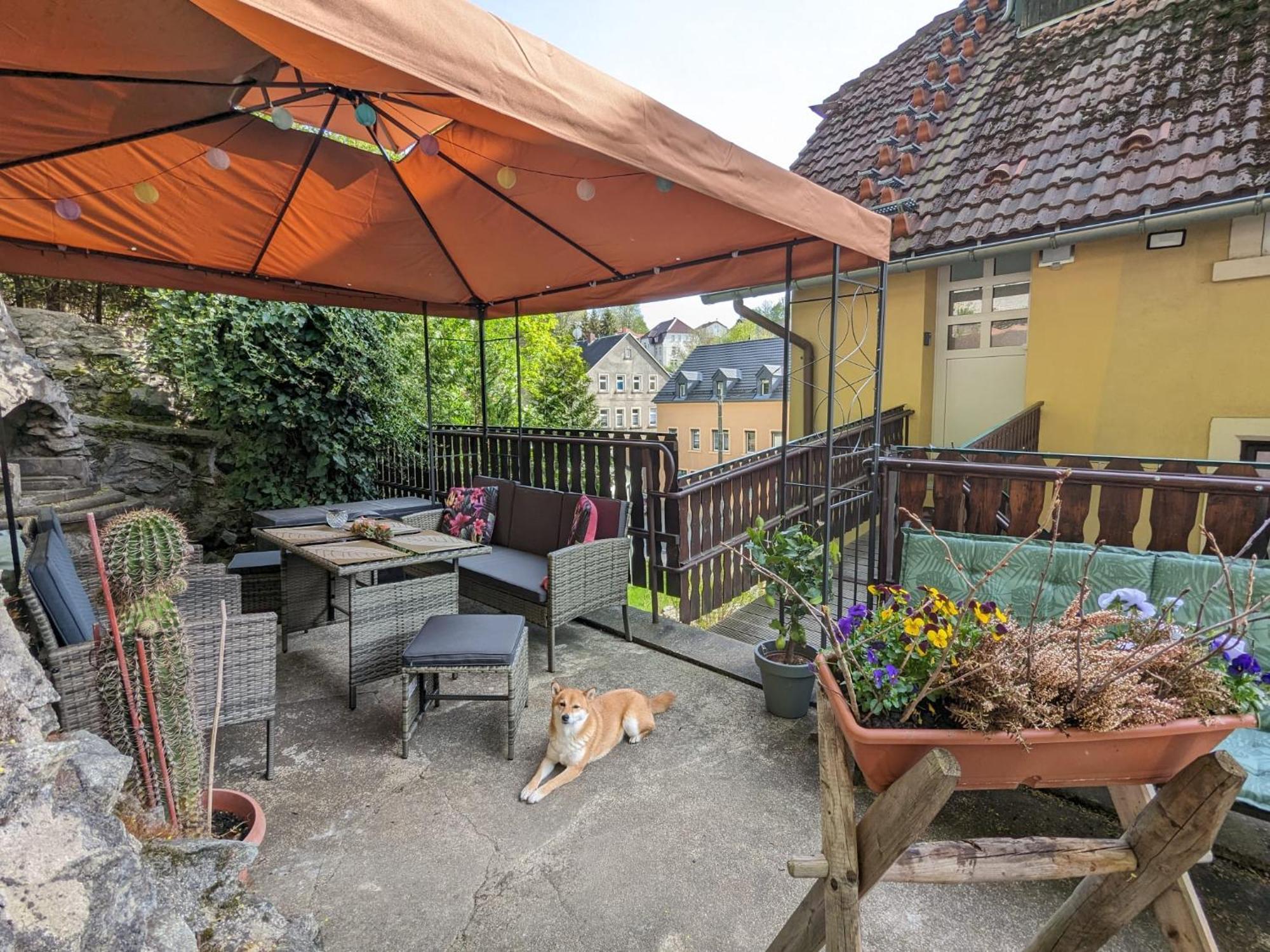 Waldblickwohnung Mit Schoener Terrasse Und Kamin Sebnitz Extérieur photo